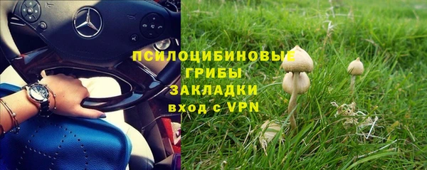 гидра Алексеевка